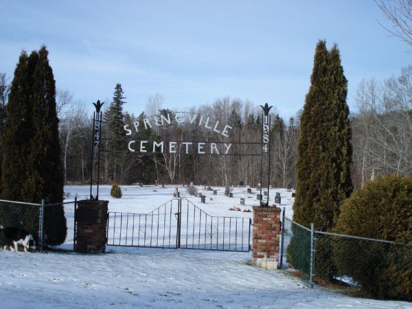 Springville Cemetery  2 11 42