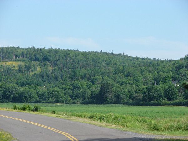 the east river valley 11818 29