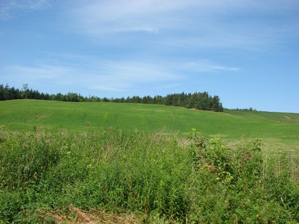 the east river valley 18911 68