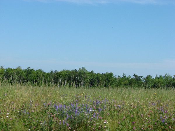 the east river valley 19921 78