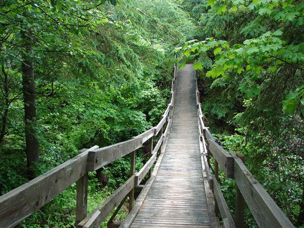 the east river valley 06916 157