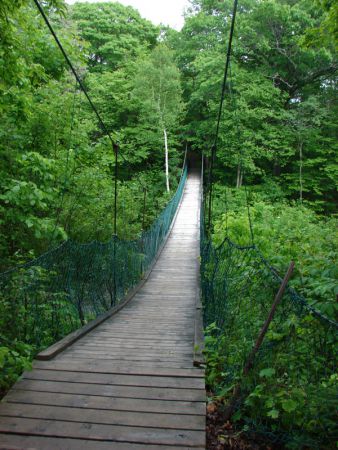 the east river valley 07519 160