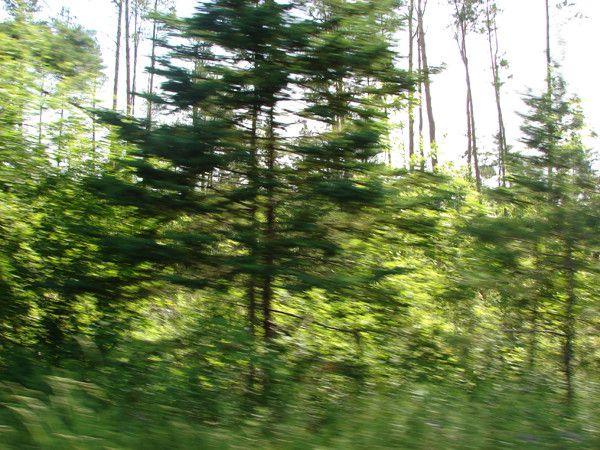 the east river valley 18002 59