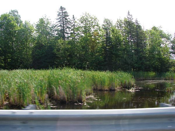 the east river valley 18103 60