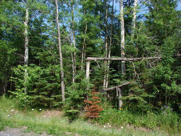 the east river valley 19214 71