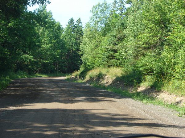 the east river valley 19517 74