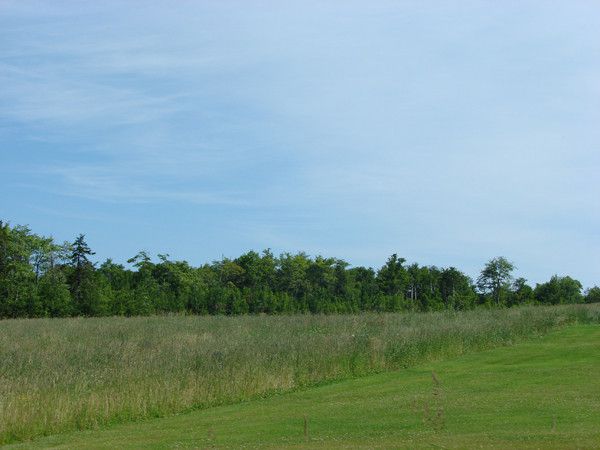 the east river valley 20224 57