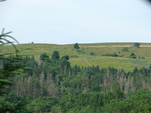 the east river valley 14904 235